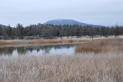 DSC_0005 (Large).JPG